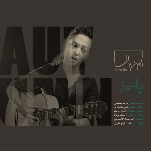 Cover artwork for Paeiz by Amin Bani